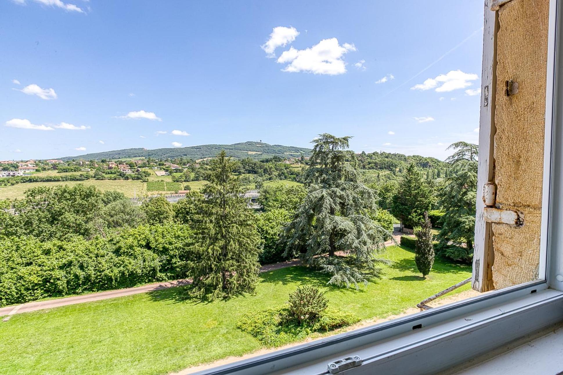 Sejourner Au Chateau De La Roue Grand Appartement Lissieu Exterior foto
