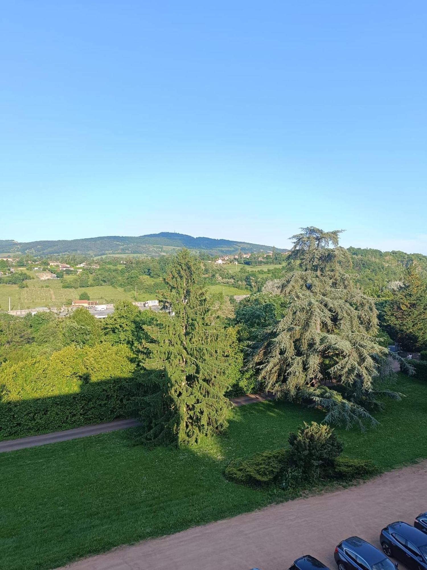 Sejourner Au Chateau De La Roue Grand Appartement Lissieu Exterior foto